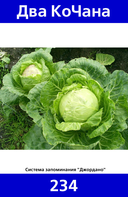 234