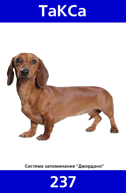 237
