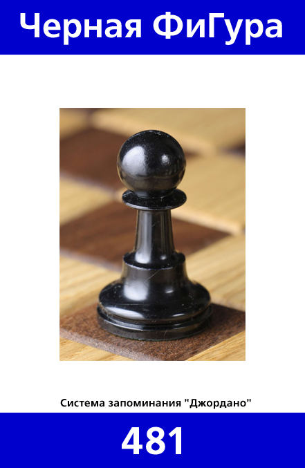 481