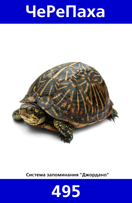 495