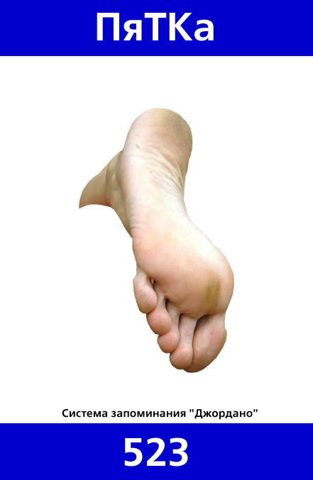 523