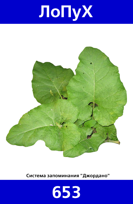 653