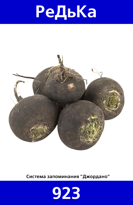 923